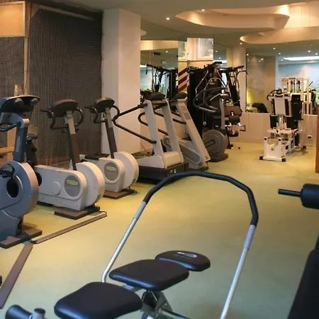 Alpen Hotel 4*