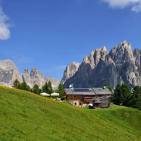 Alpen Hotel 4*
